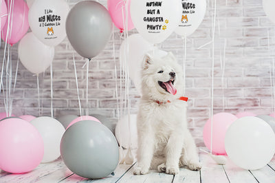 Puppy Party Balloons | Dog Birthday Decor