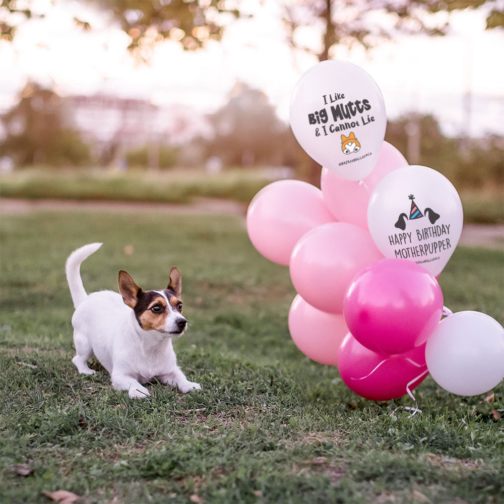 Puppy Party Balloons | Dog Birthday Decor